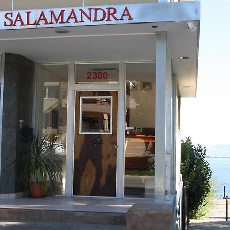 Salamandra Apartamentos El Calafate Exterior foto